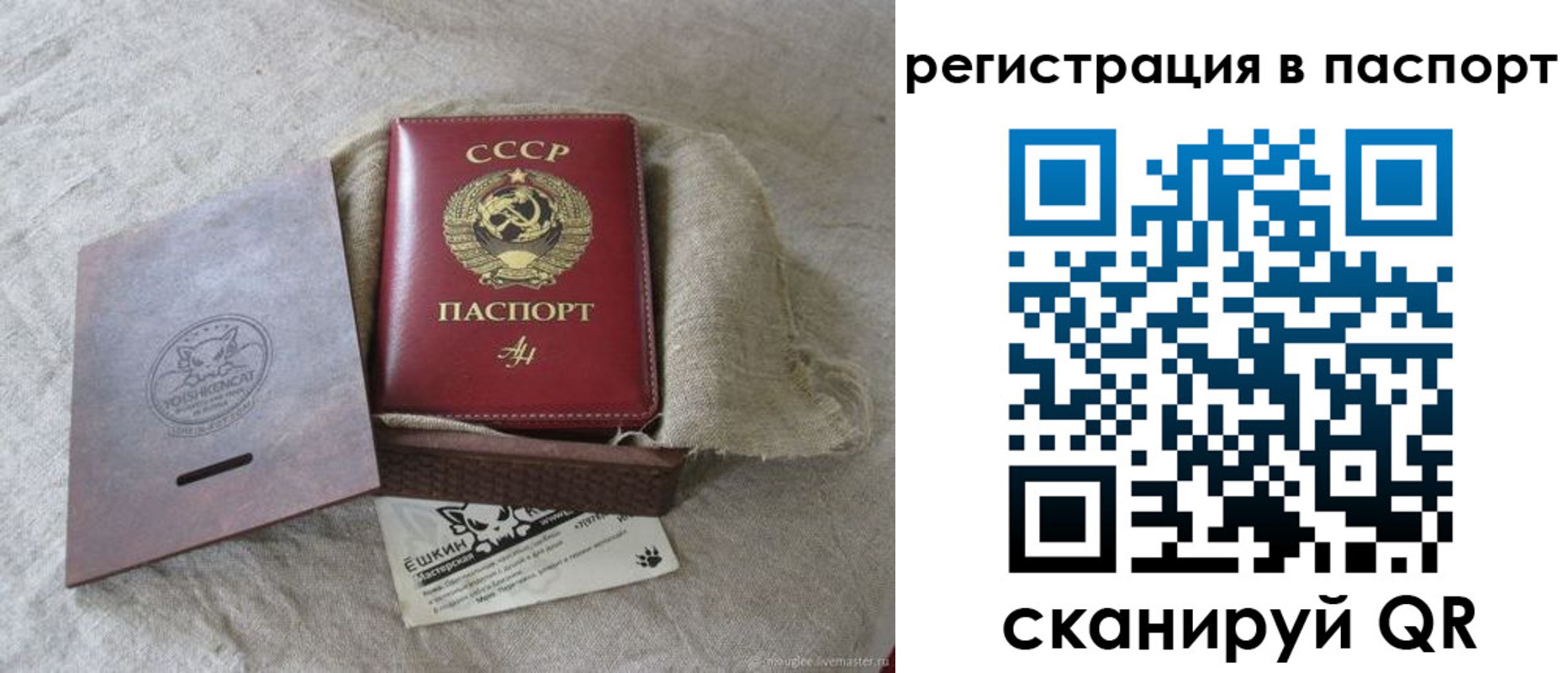 прописка регистрация в Снежногорске